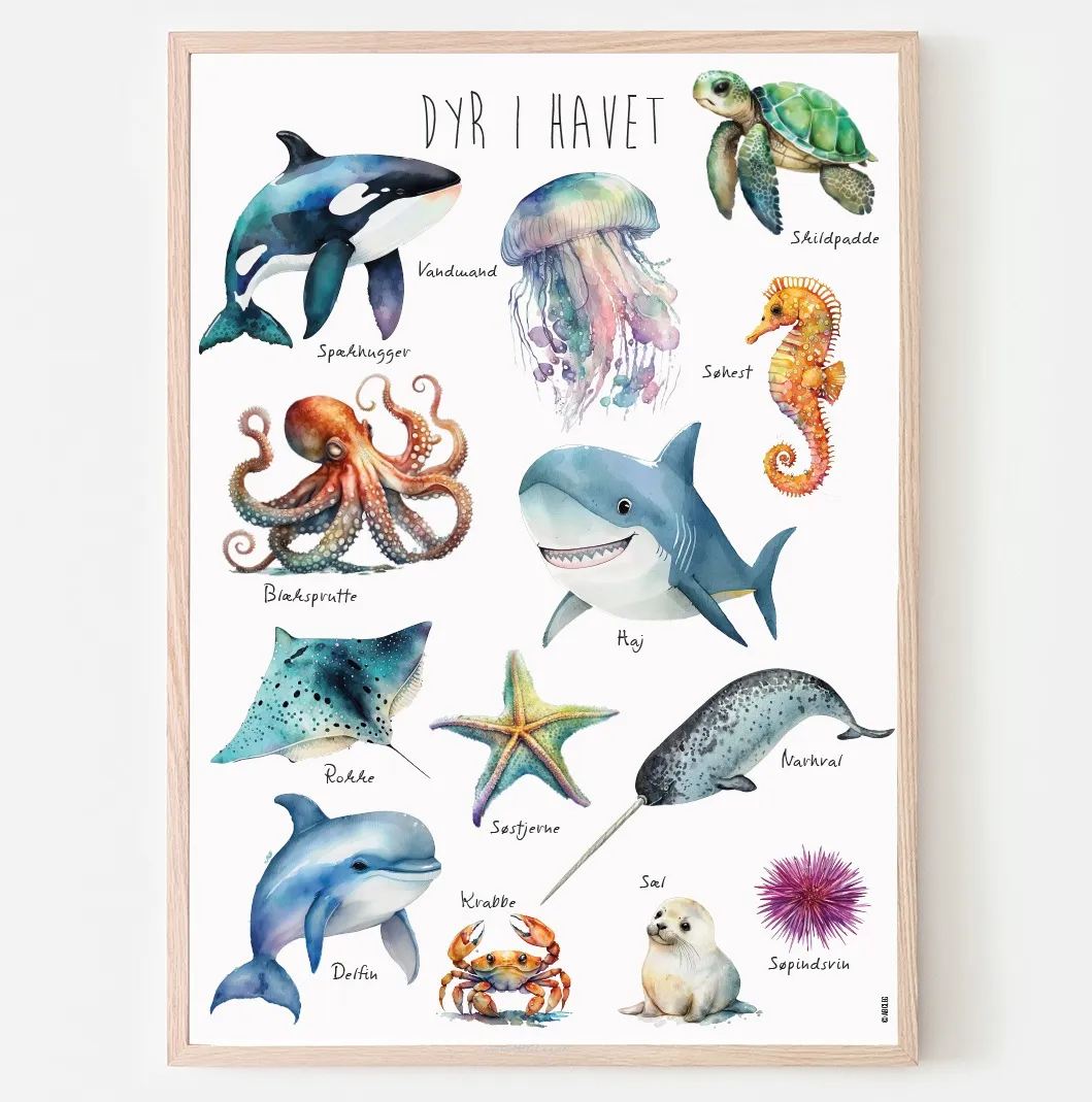Abcleg plakat - Dyr i havet-A3 (29.7 x 42) Havdyrpl-A3